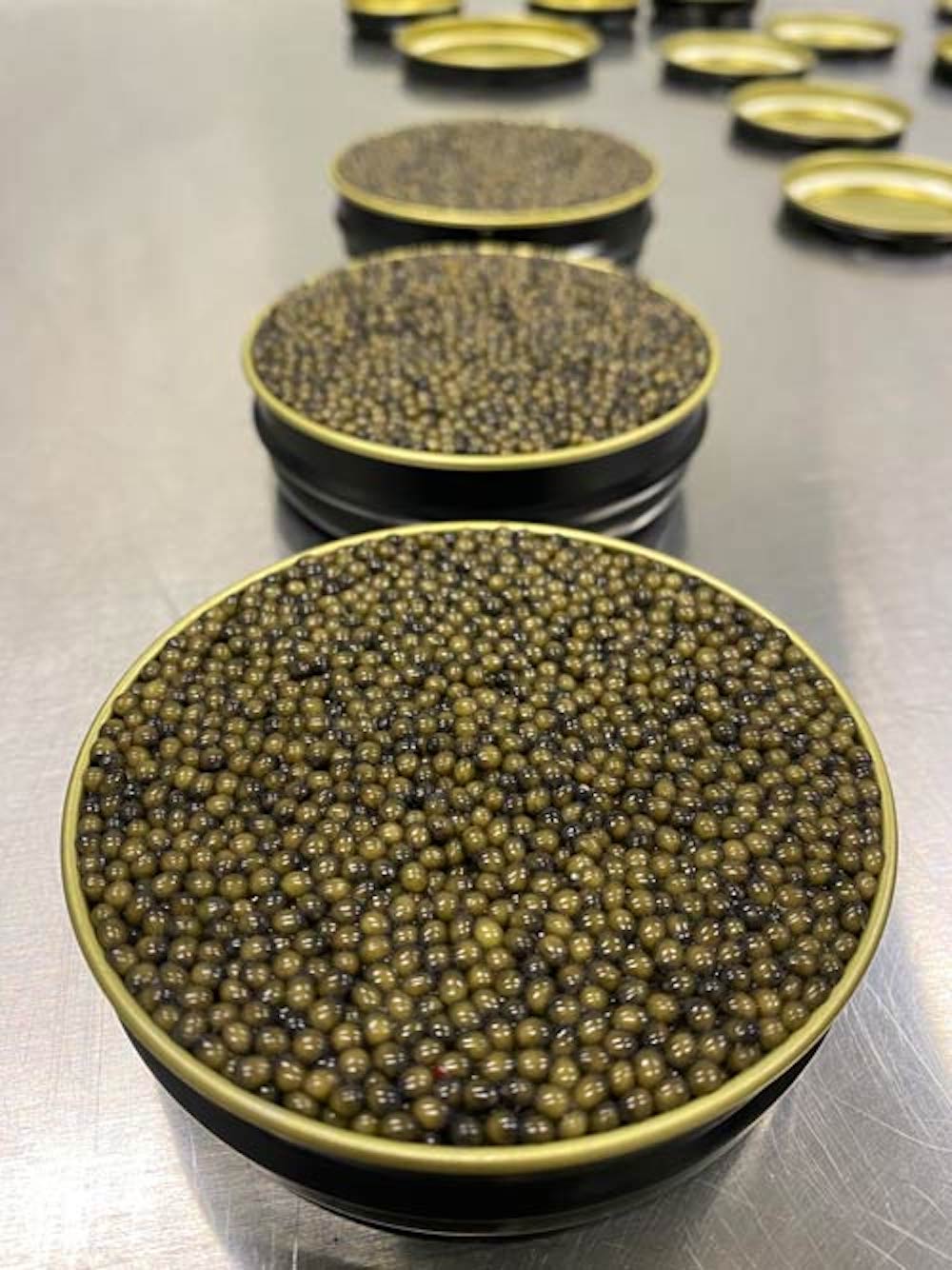 Marshallberg, Classic Osetra Caviar - SEATOPIA