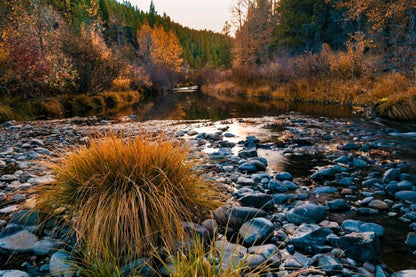 McFarland Springs, Trout Dogs - SEATOPIA