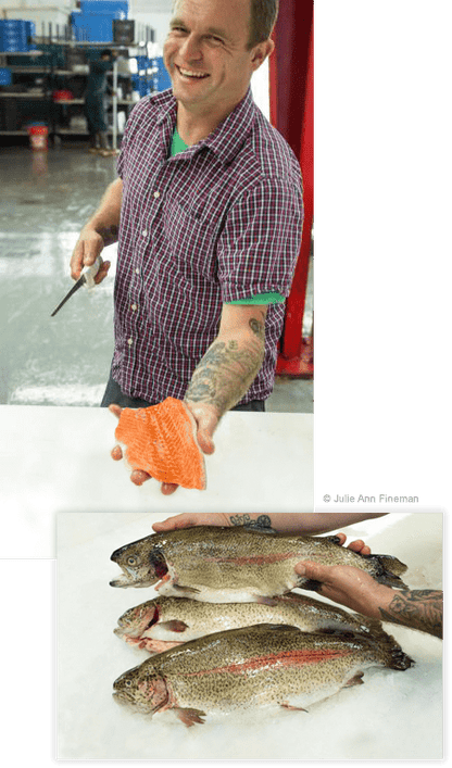 McFarland Springs, Trout Dogs - SEATOPIA