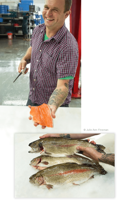 McFarland Springs, Trout Dogs - SEATOPIA