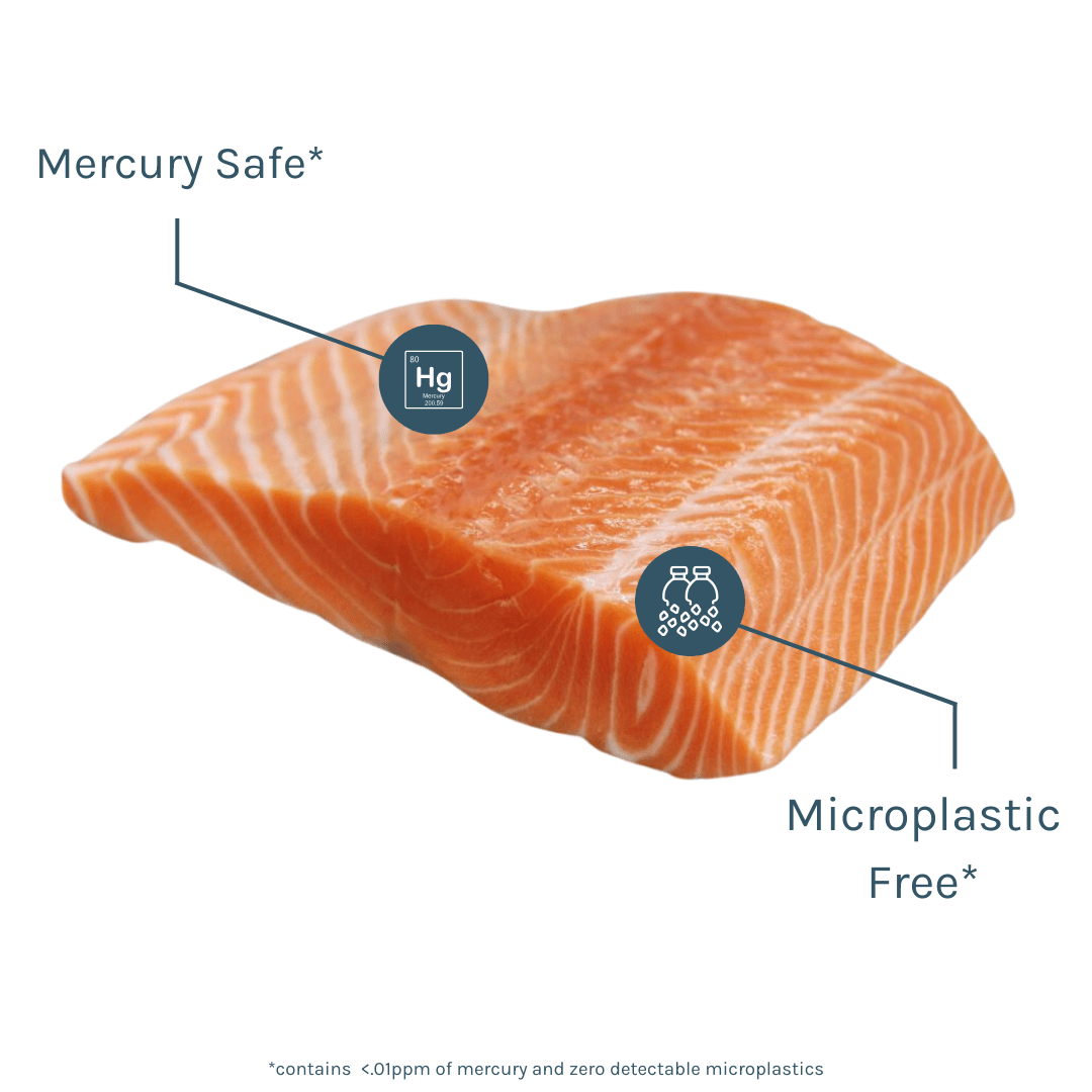 Mt. Cook Alpine King Salmon (7oz Filets) – SEATOPIA