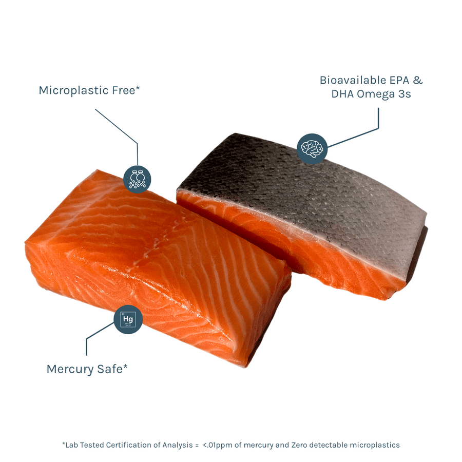 New Zealand King Salmon (6 - 8oz filets) - SEATOPIA