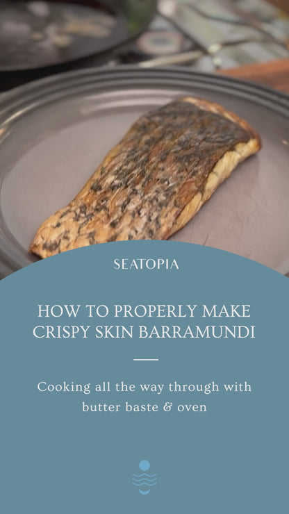 Barramundi
