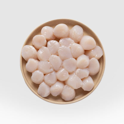 Scallop Meat - SEATOPIA