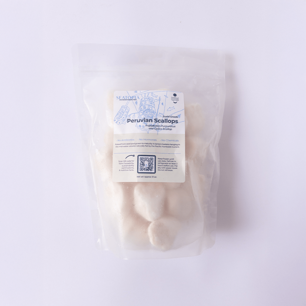 Scallop Meat - SEATOPIA