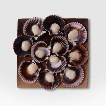Scallops (~12oz bags)