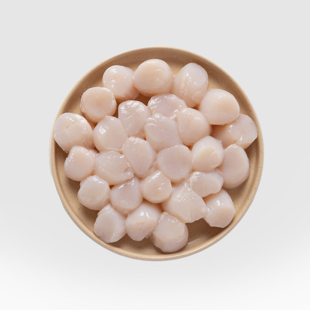 Scallop Meat (20oz)