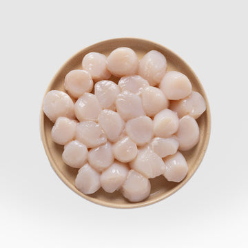 Scallop Meat (20oz)