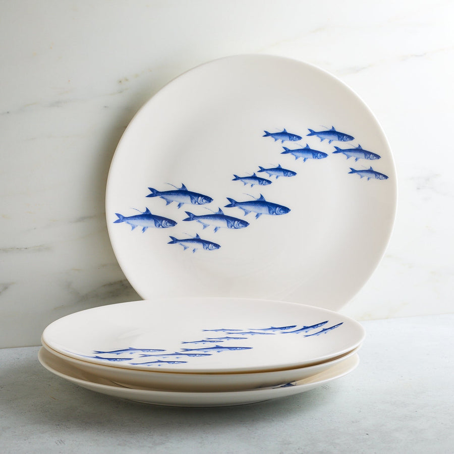 School of Fish Coupe Dinner Plate - SEATOPIA