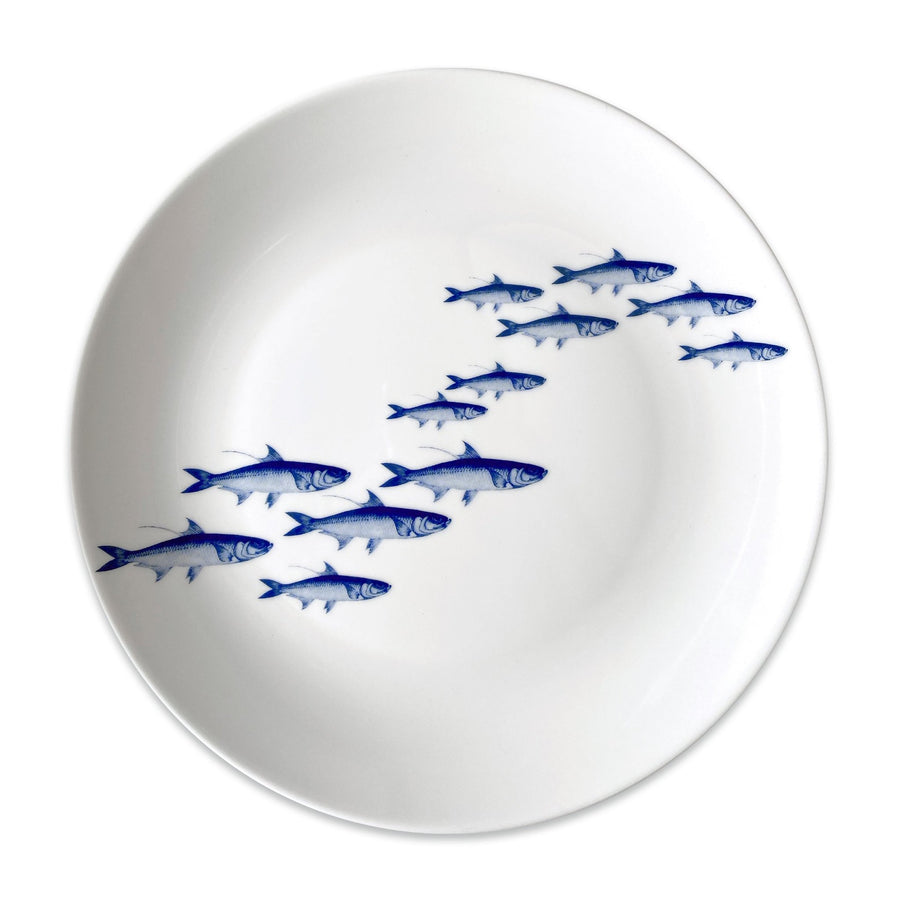 School of Fish Coupe Dinner Plate - SEATOPIA