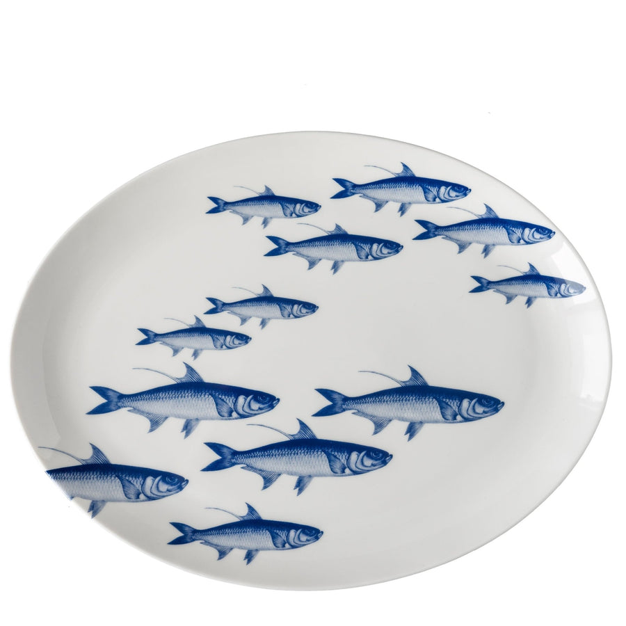 School of Fish Coupe Oval Platter - SEATOPIA