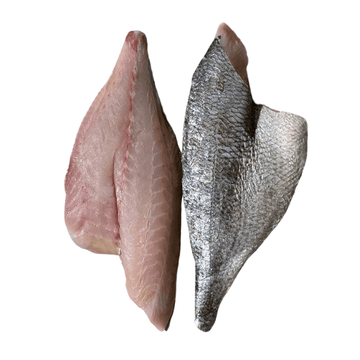 Sea Bream (6oz) - Esteros Lubimar - SEATOPIA