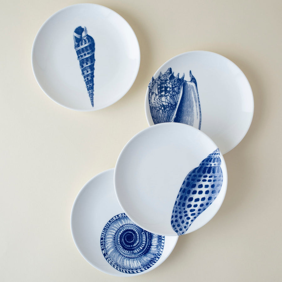 Shells Small Plates, Set of 4 - SEATOPIA