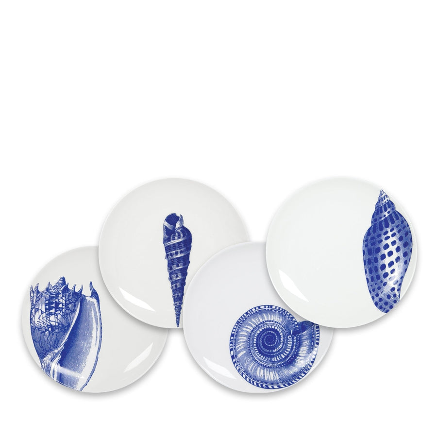 Shells Small Plates, Set of 4 - SEATOPIA