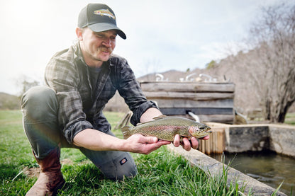 Smoke in Chimneys Whole Trout (12 - 16oz) - SEATOPIA