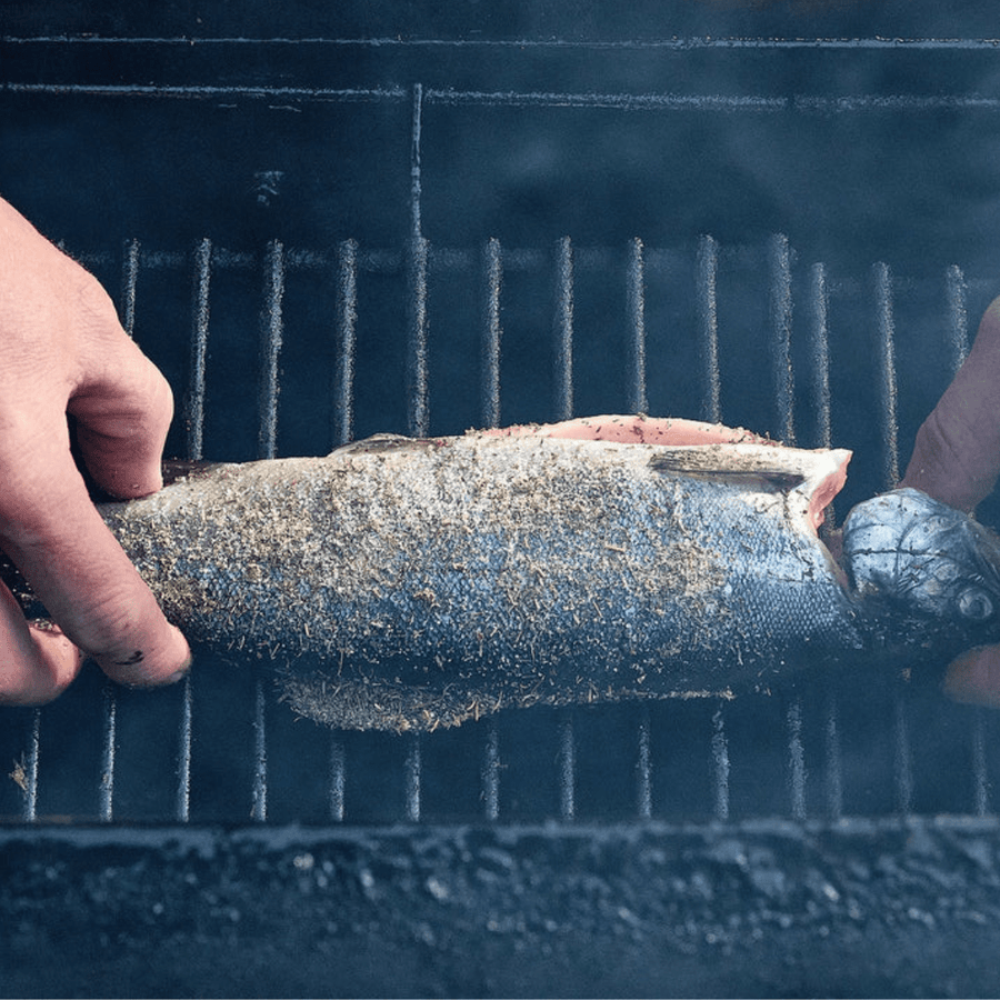 Smoke in Chimneys, Whole Trout (12 - 16oz) - SEATOPIA