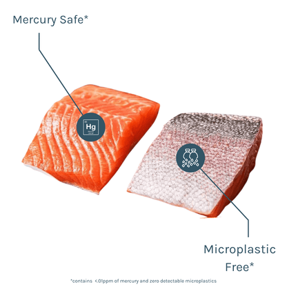 Steelhead (6oz filets) - SEATOPIA
