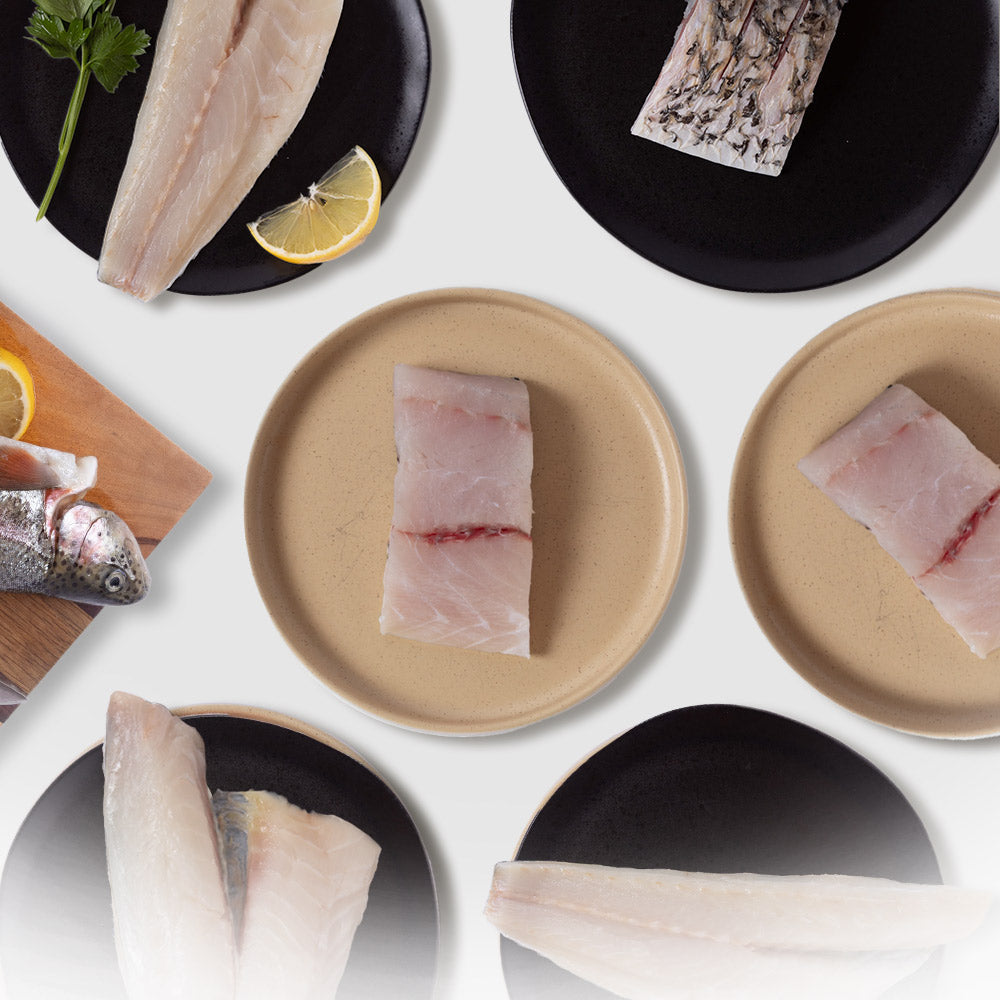 White Fish Box