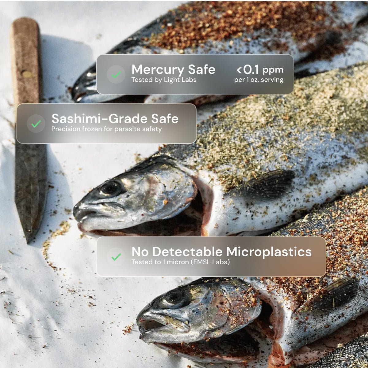 Whole Trout - SEATOPIA