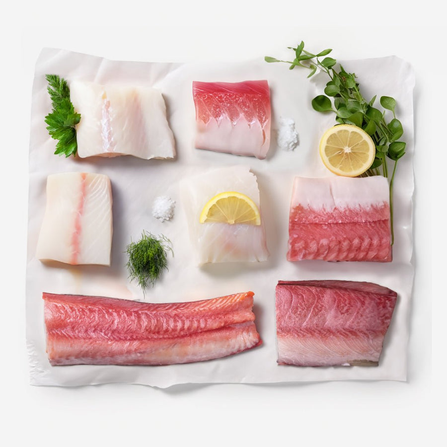 12 Servings: Gourmet White Fish Box – SEATOPIA